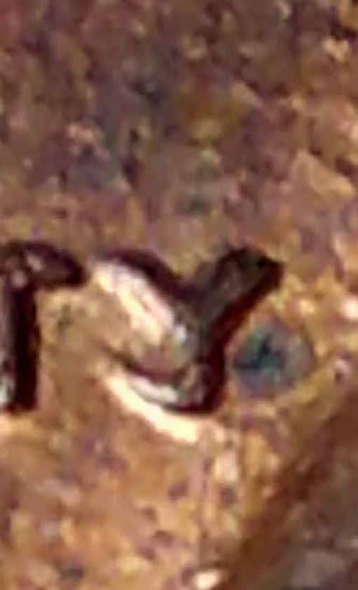 1982-P-Lincoln-Curved-Trail-Die-At-